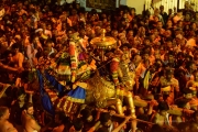 srirangam vayali 2014